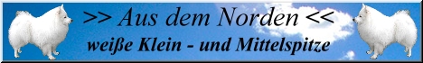 Banner Klein- und Mittelspitze aus dem Norden